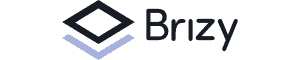 Brizy logo