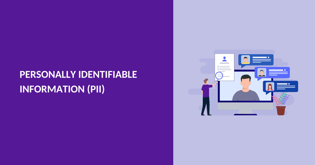 Personally Identifiable Information(PII): The Definitive Guide