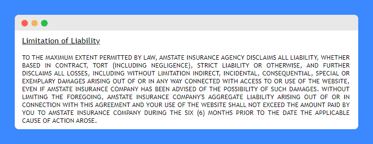'Limitation of Liability' clause in Amstate Insurance Agency's disclaimer.